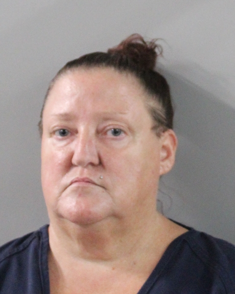 Mugshot of DIANNE BREWER