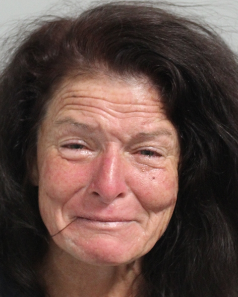 Mugshot of BARBI LYNN BARNES