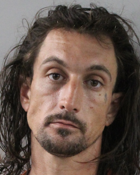 Mugshot of NICHOLAS BRIAN DAVIS