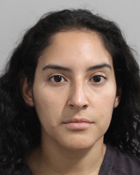 Mugshot of RENEE BEATRIZ DI GIOVANNI