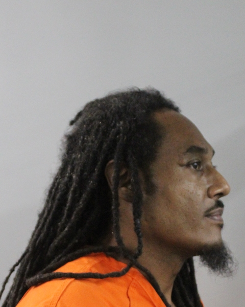 Mugshot of LEO RICHARDS
