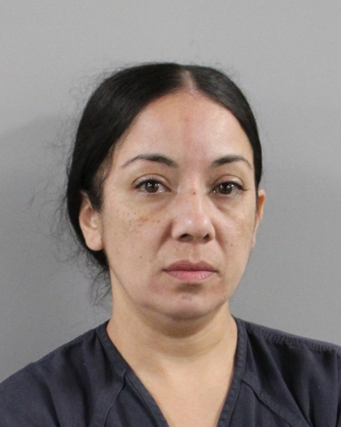 Mugshot of YARITZA HERNANDEZ REYES