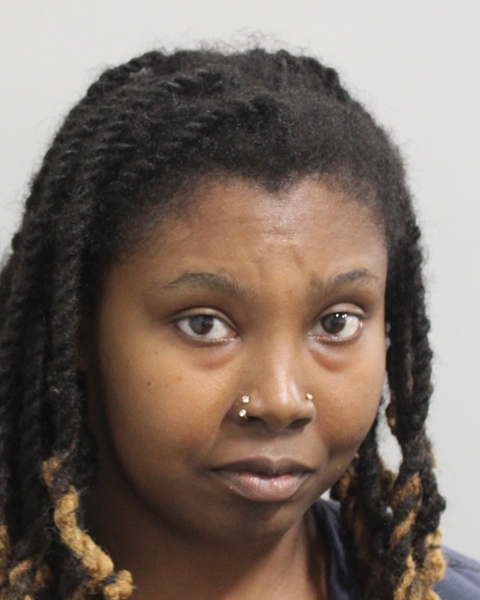 Mugshot of TEKAYLA A BEAUBRUM