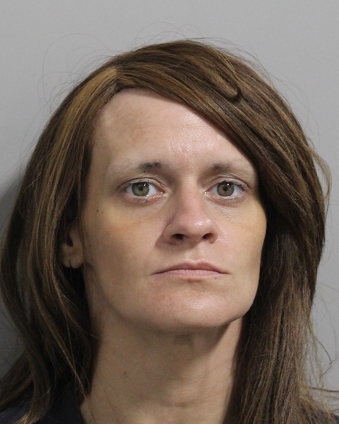 Mugshot of ALEXIS BROOKE BECK
