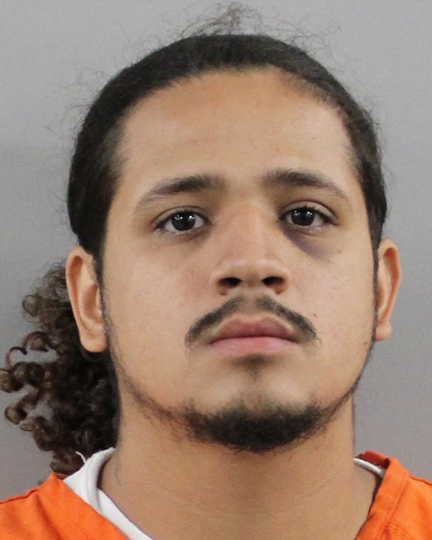 Mugshot of ADRAIN CARCAMO