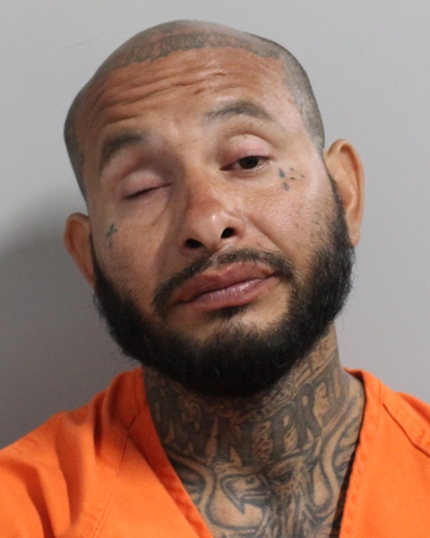Mugshot of LUIS A ALMAZAN