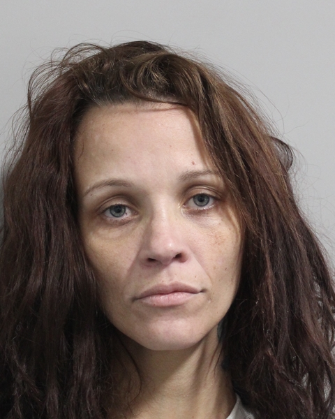 Mugshot of JULIANA B BYCZKOWSKI