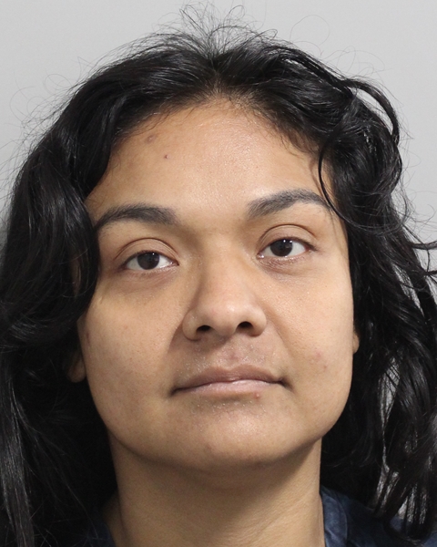 Mugshot of VIANCA BRUNO
