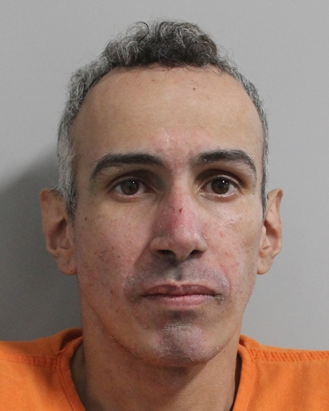 Mugshot of DAVID DIAZ