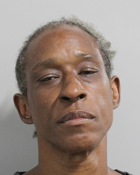 Mugshot of SANTINA NICOLE DOGAN