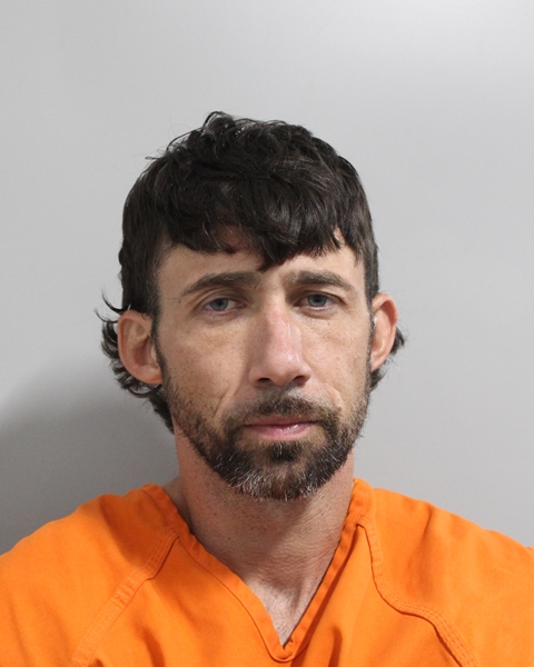 Mugshot of BRANDON MARK BIANCHI