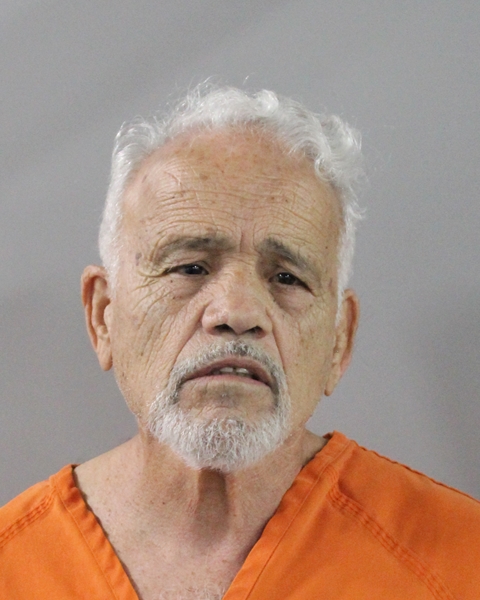 Mugshot of ROY BORGES