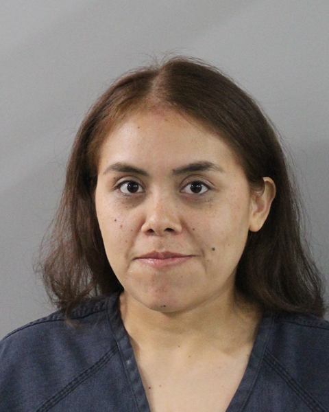 Mugshot of JESSICA HERNANDEZ
