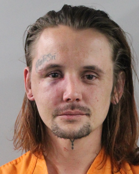 Mugshot of JESSE SINCLAIR CHARLES LANE