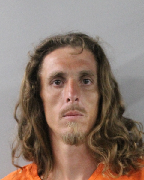Mugshot of TROY LINNABERY