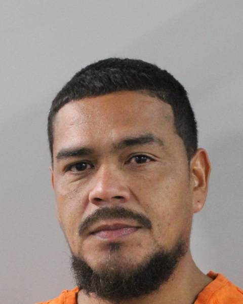 Mugshot of OSVIN MARCELO HERNANDEZ RODRIGUEZ