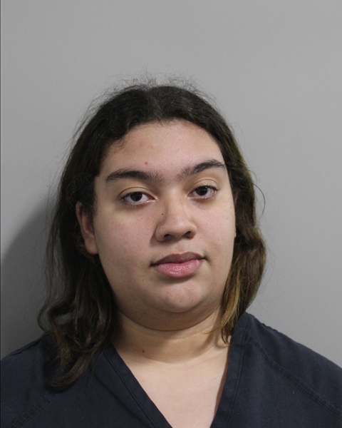 Mugshot of SIERRA RAYLEE ARMSTEAD