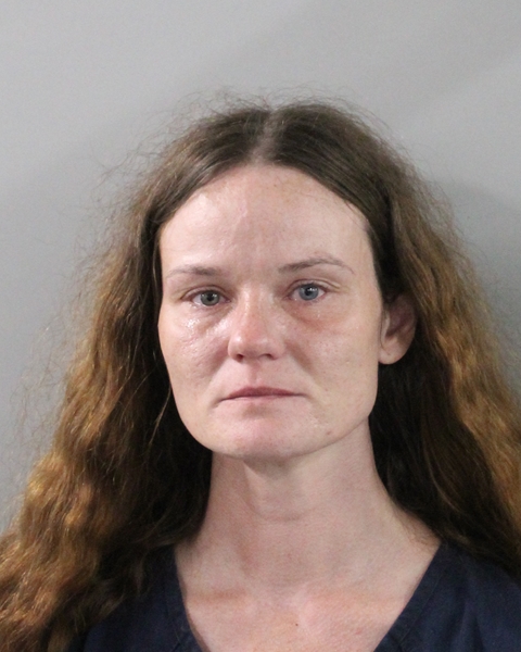 Mugshot of LYDIA MAY STRAKA