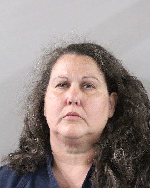 Mugshot of JAMIE LAVONNE FOX