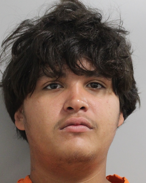 Mugshot of JAMIE ALVAREZ