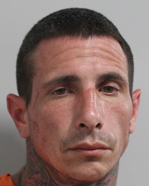 Mugshot of NICHOLAS GUISEPPE DALESSANDRO