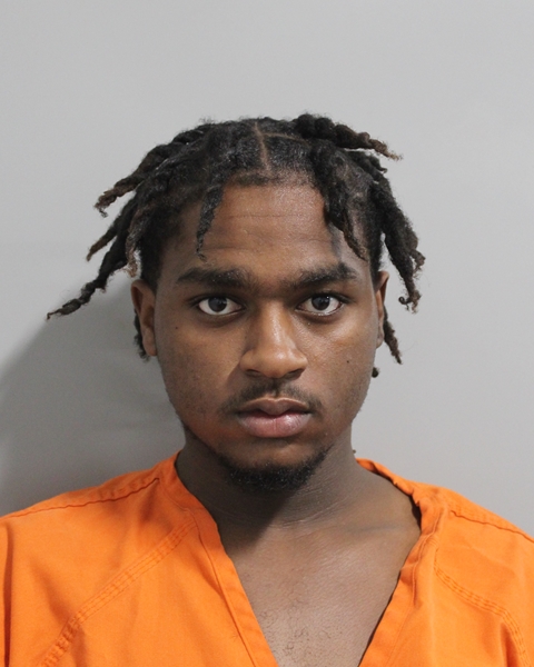 Mugshot of RONALD DELSHAWN LEWIS