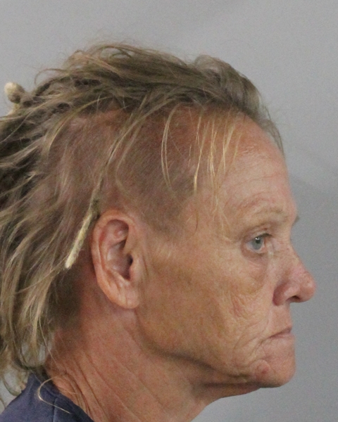Mugshot of MICHELLE LEE THOMPSON
