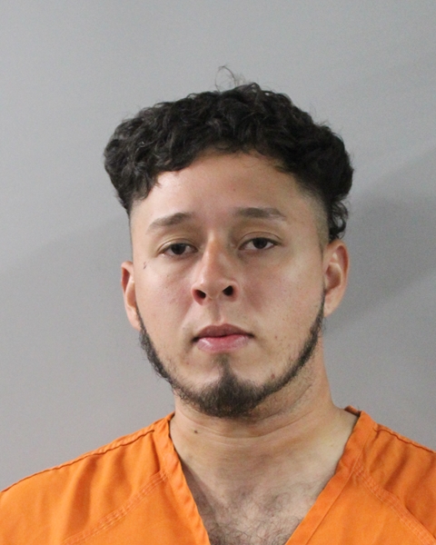 Mugshot of ROBERTO ARENAS