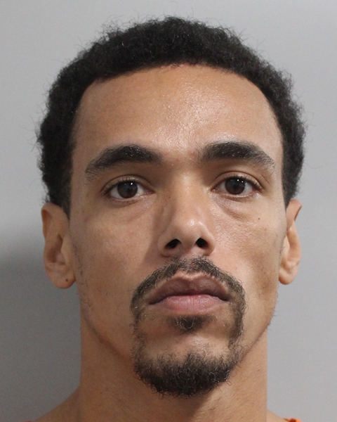 Mugshot of TRACY SEBASTIAN WATSON