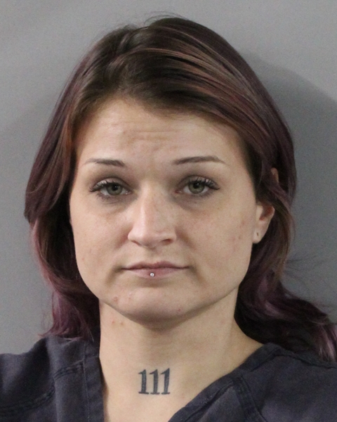 Mugshot of KENDALL NICOLE COLLIER