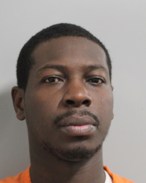 Mugshot of NIDIER C SMITH