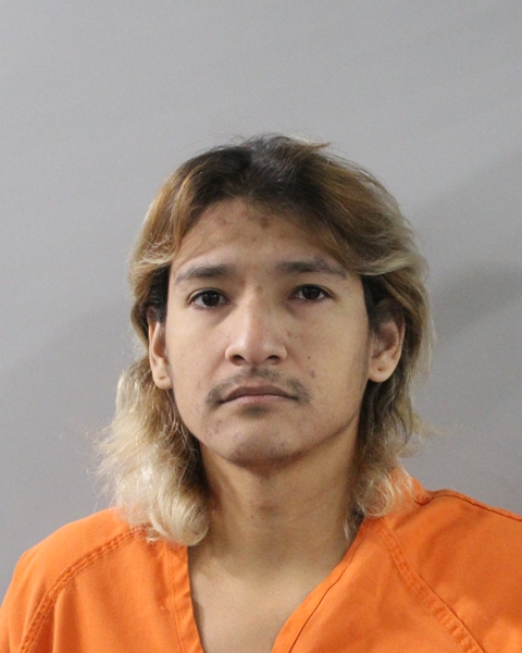 Mugshot of VINCENTE REYES