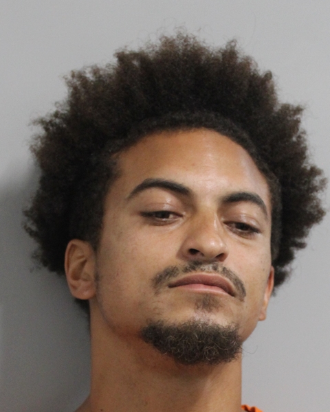 Mugshot of RONALD JOHN JOHNSON JUNIOR