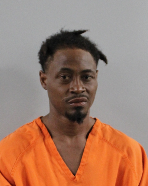 Mugshot of WILLIAM D WILLIS