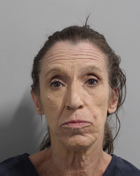 Mugshot of JANET DEES