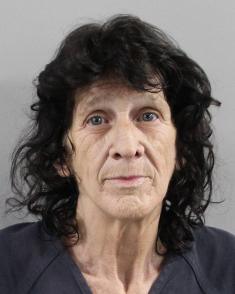 Mugshot of DIANNE LETCHWORTH-GEDZ