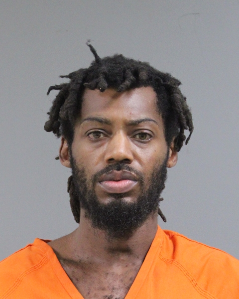 Mugshot of DYLAN DYLES
