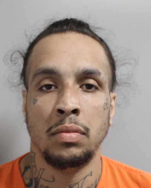 Mugshot of DEVIN MICHAEL BROWN