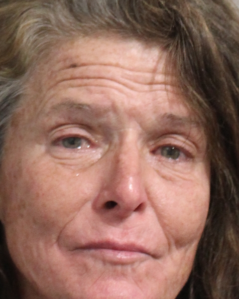 Mugshot of BARBI LYNN BARNES