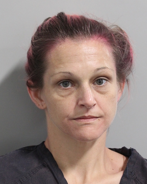 Mugshot of BRITTANY NICOLE CRIBBS