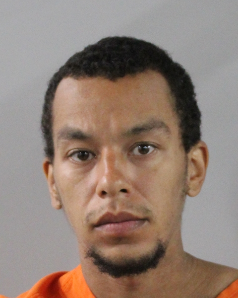 Mugshot of MARK CULMER