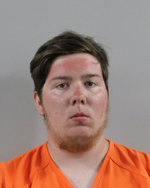 Mugshot of ALAN MICHAEL BROWN JR