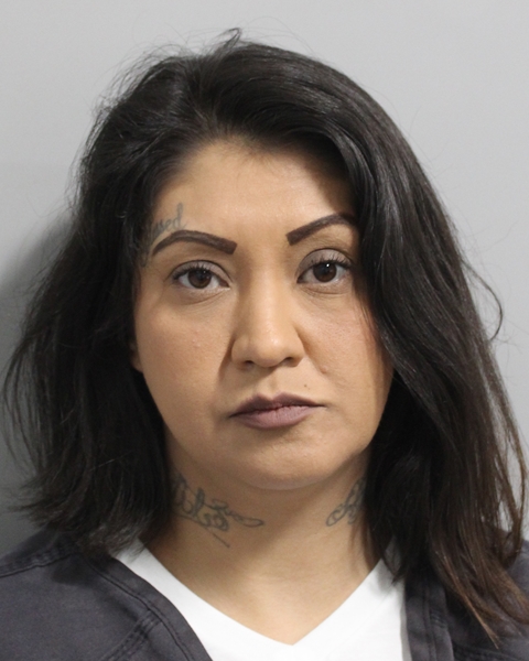 Mugshot of MARCELLA LOUISE ARMENTA