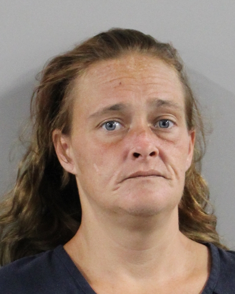 Mugshot of MISTY DAWN NORTH