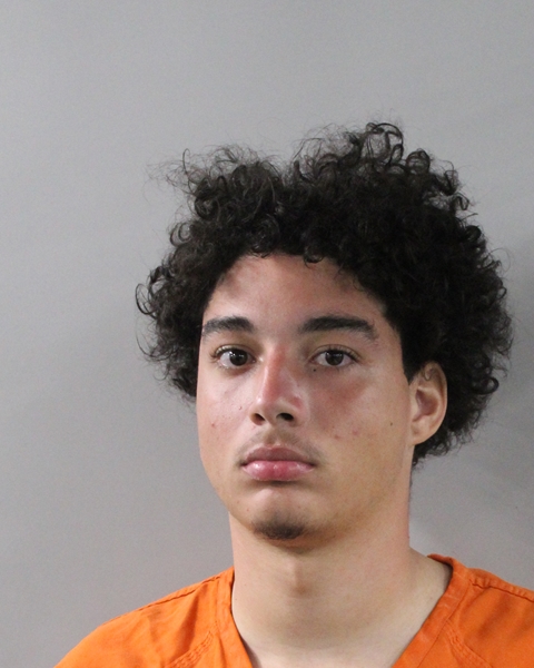 Mugshot of JULIAN MARCUS LINK