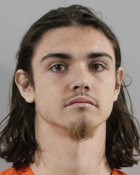Mugshot of LONNIE HOLDER