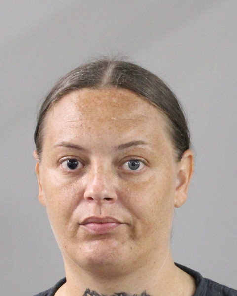 Mugshot of TALISA RENE FLETCHER
