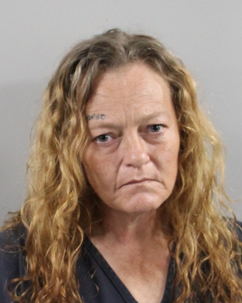 Mugshot of TIFFANY R PALMER