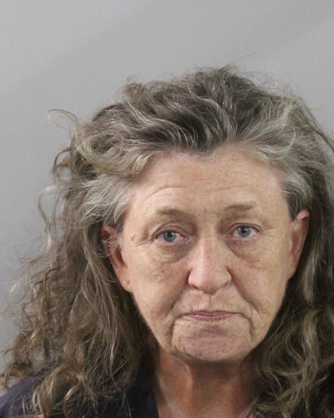 Mugshot of ANDREA RAE MOLES