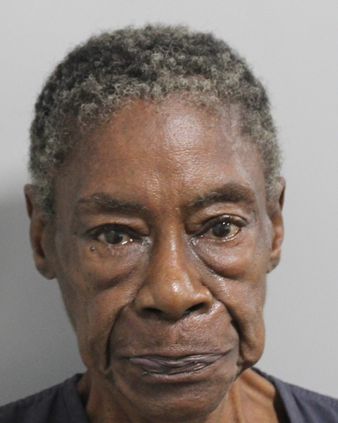 Mugshot of SANDRA DENISE LEONARD